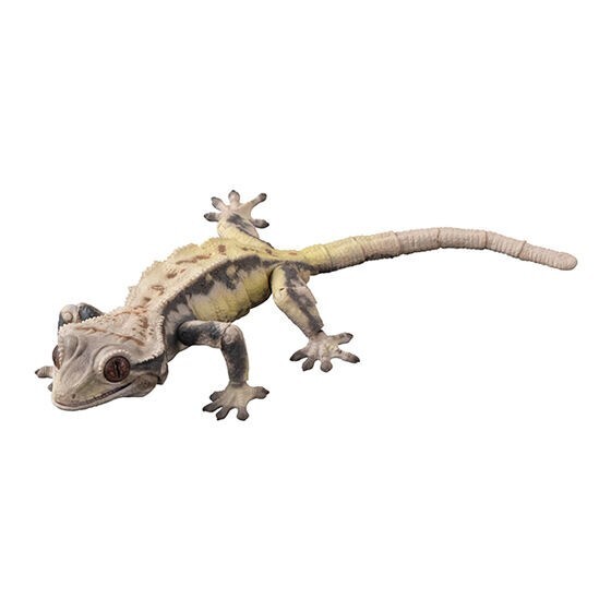GECKO ゲッコー カホン Crested Gecko 02 Figure Set of 4 Complete Creature