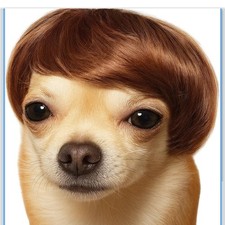 Wig for Dog Pets Brown Halloween Party Funny Dog Costume
