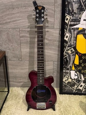 Pignose Guitar Custom