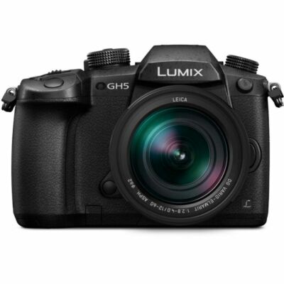 Lumix GH 5 Battery | eBay