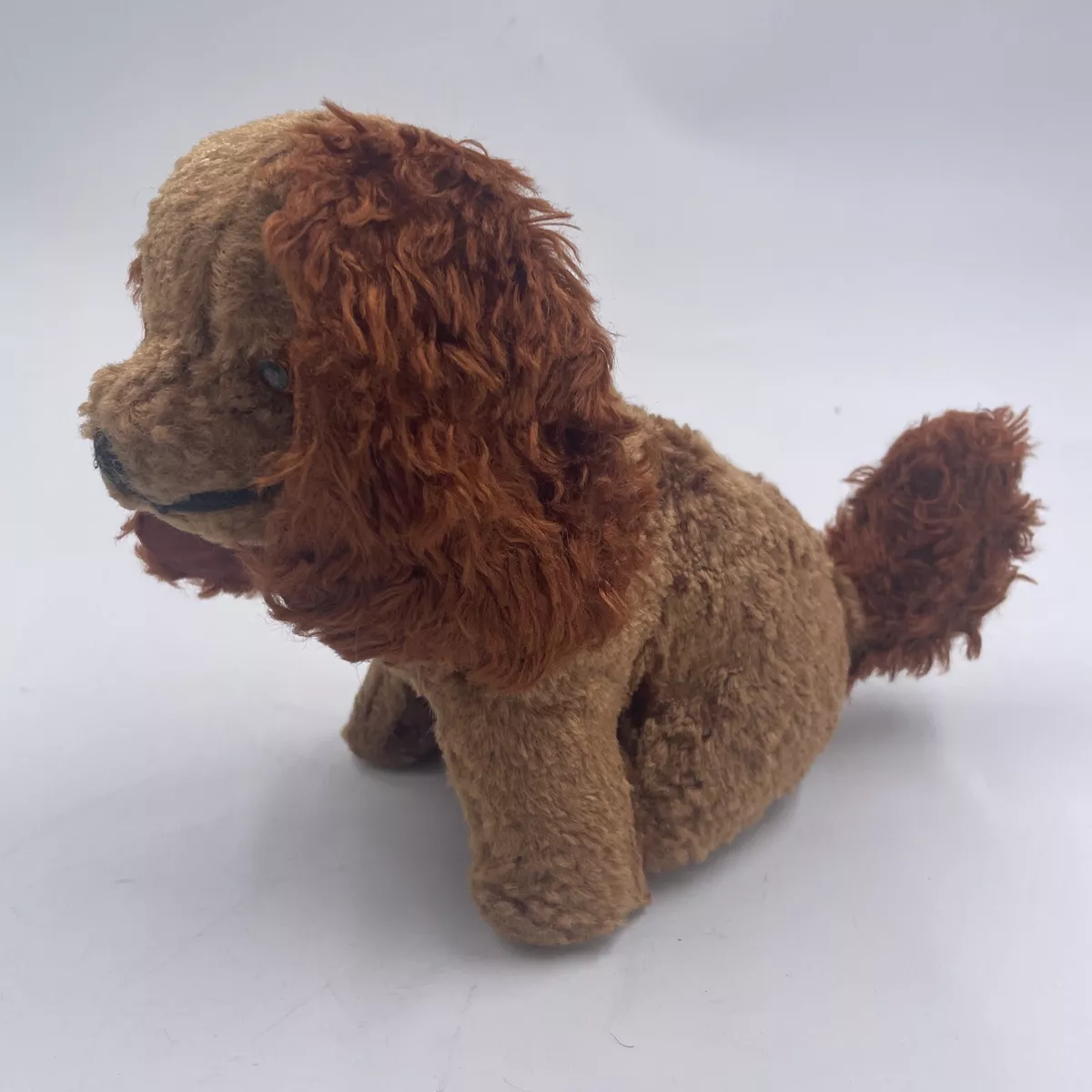 Toy poodle mixed with cocker cheap spaniel
