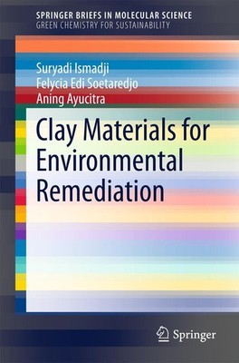 Clay Materials for Environmental Remediation Suryadi Ismadji