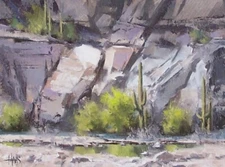 TOM HAAS painting 'Sparce Existence' oil 9x12 Arizona desert wash rocks saguaro