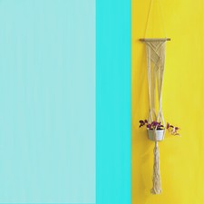 Macrame Plant Hanger