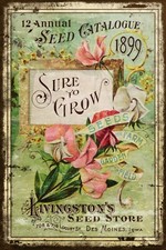 Livingstone Seed Catalogue Advert, Aged Look Vintage Retro Style Metal Sign