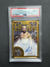 Ultimate Fighting Championship (UFC) Professional Sports