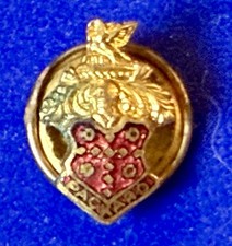 Vintage Packard Crest screwback lapel pin enamel shield auto badge  mini