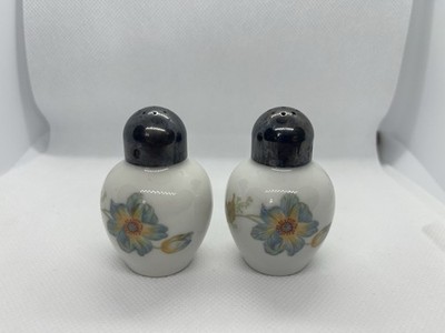 Rosenthal Thomas Germany Porzellan Salzstreuer - 2-teilig