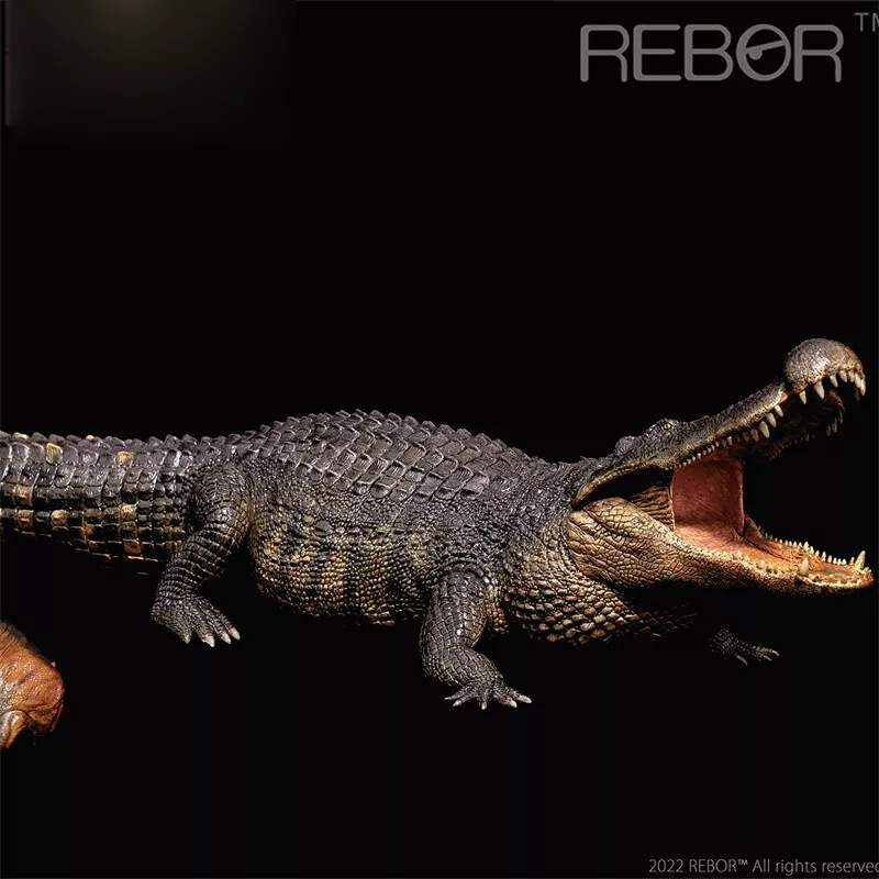 Rebor Deinosuchus Models