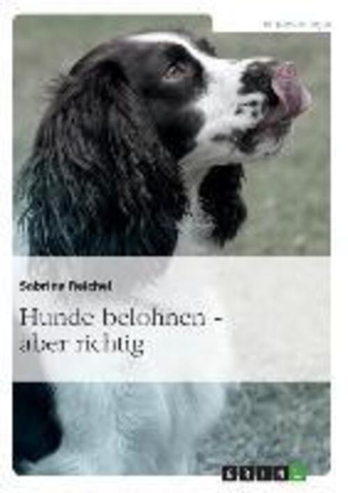 Thumbnail - Hunde Belohnen ¿ Aber Richtig | Sabrina Reichel | Deutsch |