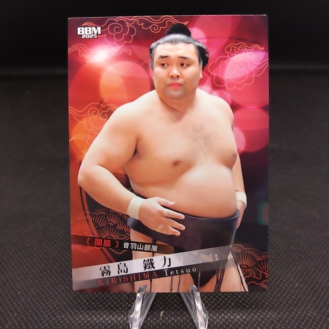 タレントカード Ososi Aktar Bandai New Japan pro-Wrestling Card Tiger Jeet Singh1998 No
