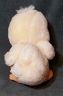 Picture 4 of 6