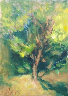 OCTOBER TREE STUDY Impressionist Landscape 5x7 Plein Air Daily Oil Painting Day