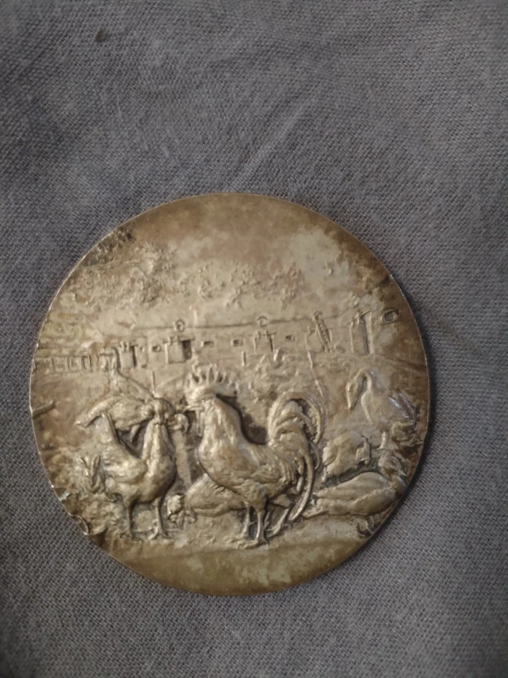 Médaille ancienne en bronze - Comice Agricole des Ponts-de-Cé (49) - Thème Basse - Photo 1/2