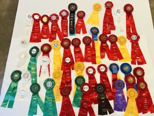Colorful Lot of 45 Horse Show Ribbons Equestrian Awards
