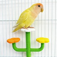 Bird Perch Stand Cartoon Parrot Activity Platform Cage Accessory for Resting and