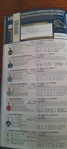 TARJETA DE CARRERA CHELTENHAM, 12 DE MARZO DE 2025 - LA PERSECUCIÓN CAMPEONA REINA MADRE - Imagen 14 de 20