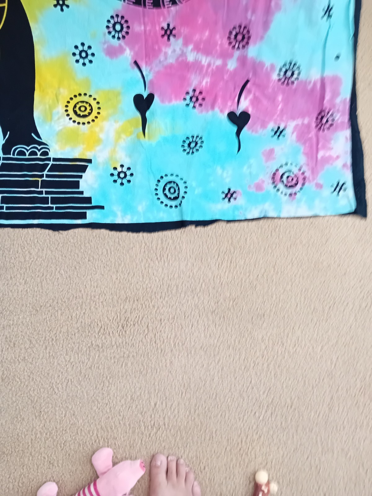 Bild 5 von 8