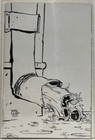 Foto 10 di 10