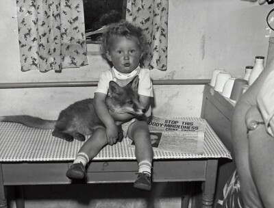 Black and White Photo Child with Pet Fox   A-5