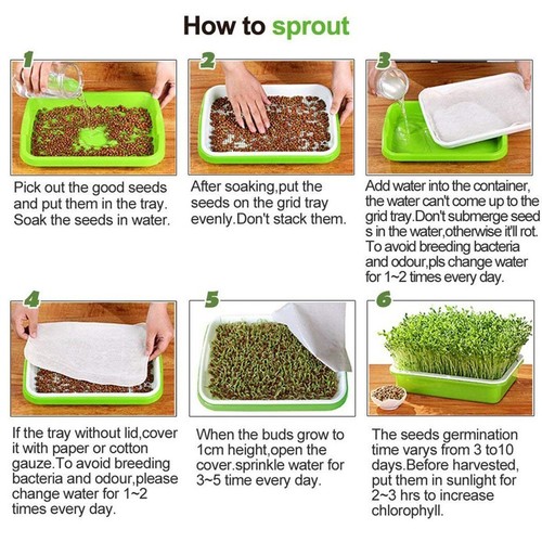 New Sprout Tray With Grid Soil-Hydroponic Bean Sprout Plate With Cover - Foto 21 di 24