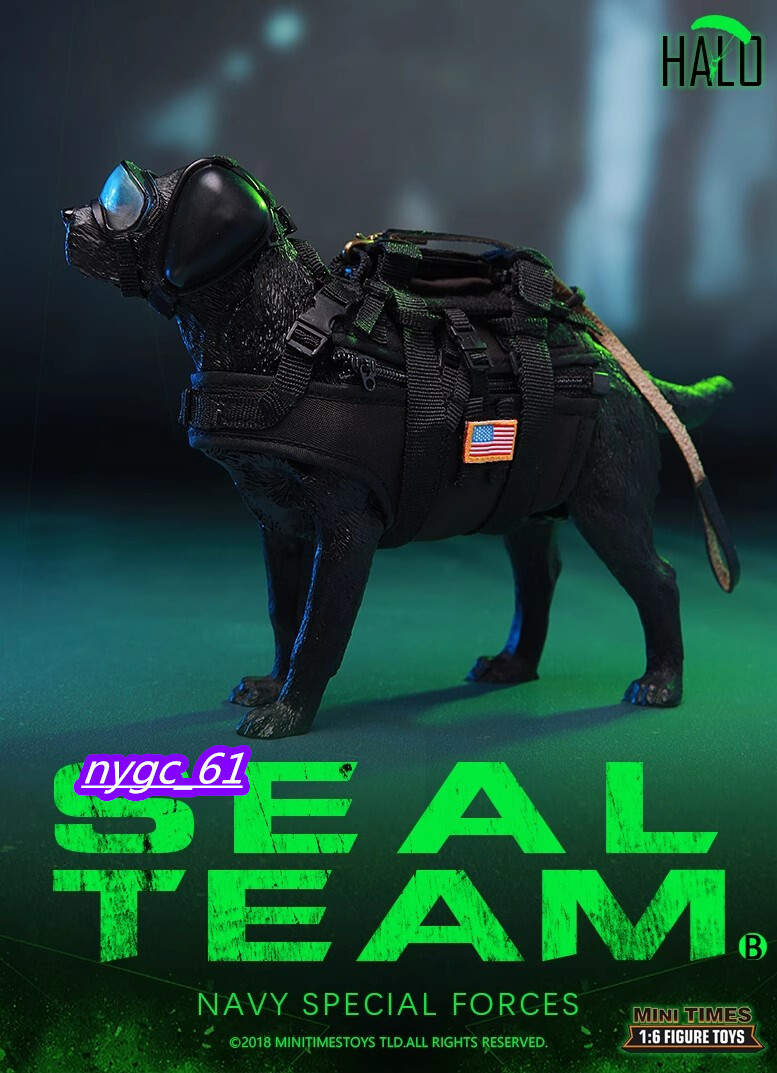 Minitimes Toys 1/6 M013 US Navy SEAL Team Special Forces Male