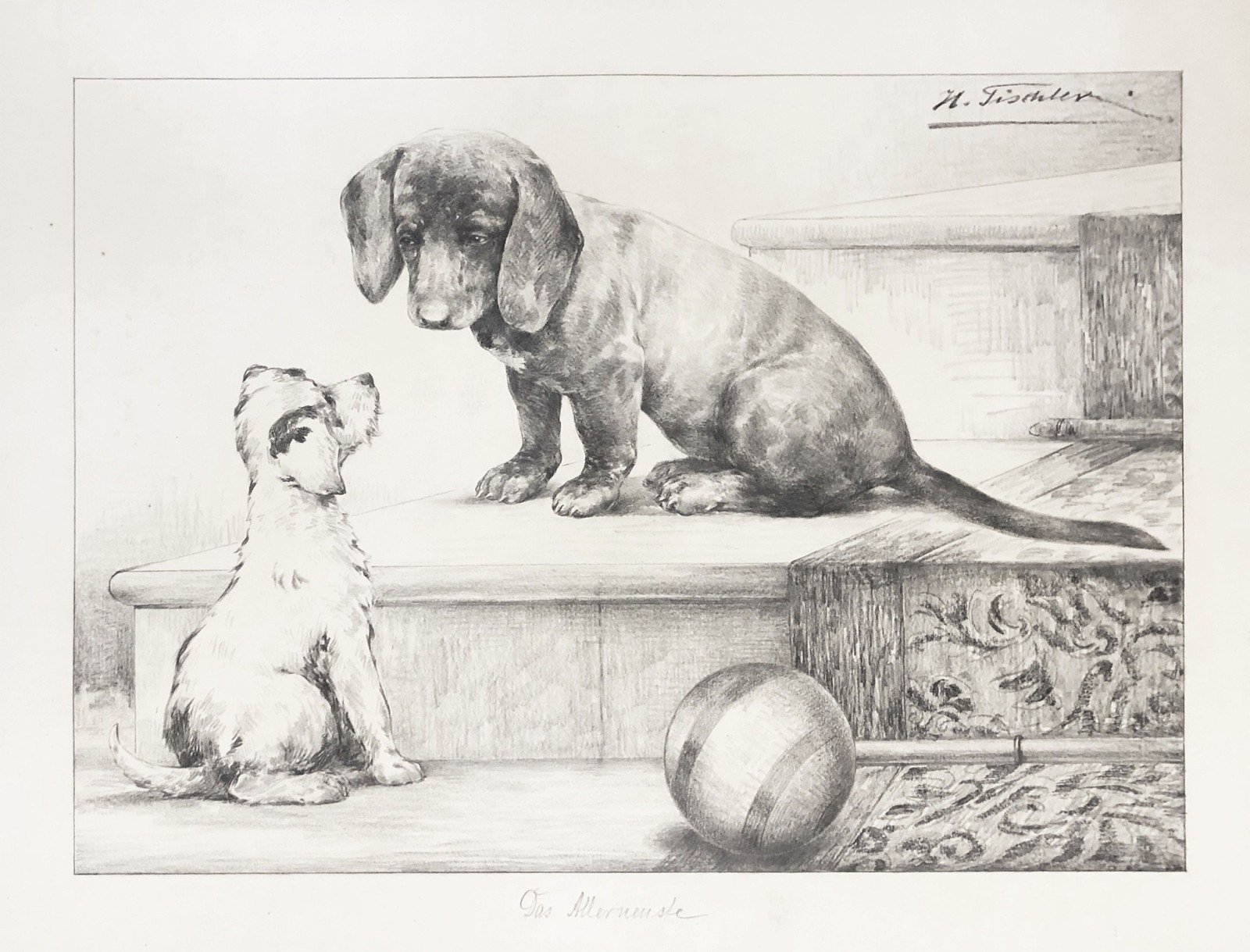 Perro Beagle Pelota Escalera Hermann Carpintero Dibujo
