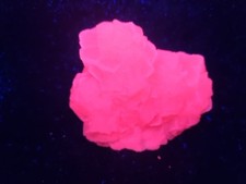 Minerali◇Aragonite Fluorescente Provenienza Miniera Giumentaro Sicilia Cm 9x7