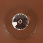 Foto 12 di 12