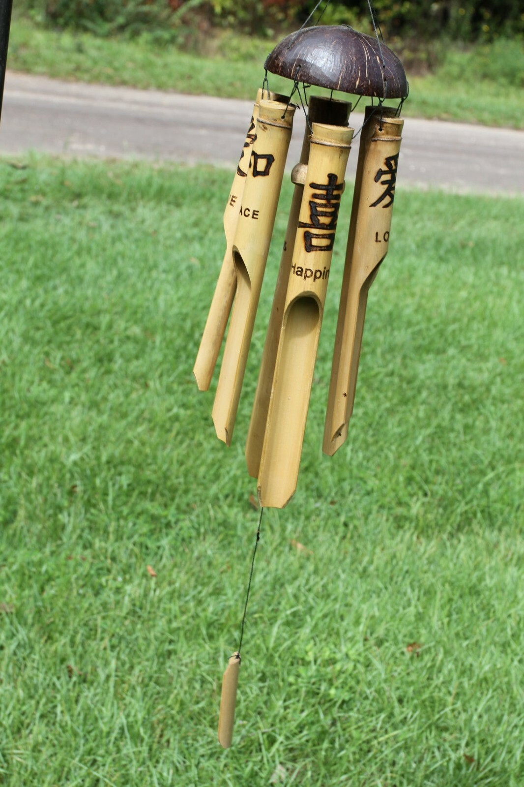 Bild 4 von 8
