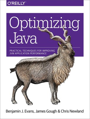 Optimizing Java: Practical Techniques for Improving JVM Application Performance,