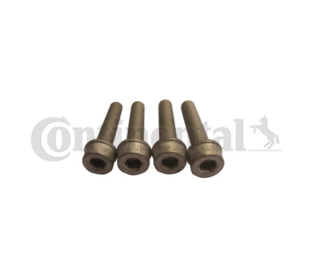 CONTINENTAL CTAM MS17 Bolt Set, crankshaft pulley for AUDI,FORD,SEAT,SKODA,VW - Bild 1 von 1
