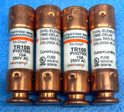 FERRAZ SHAWMUT TRI-ONIC TIME DELAY FUSE TR10R CLASS RK5 10A 250V (LOT OF 4)