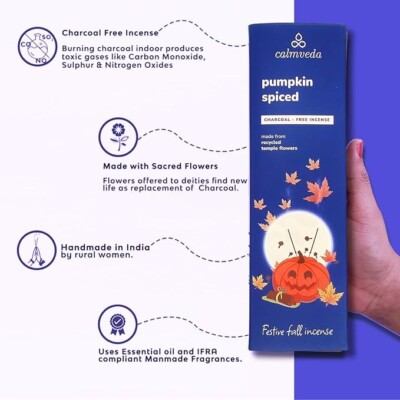 Holiday themed incense sticks (80 pack) Pumpkin Spice, Cinnamon, Christmas