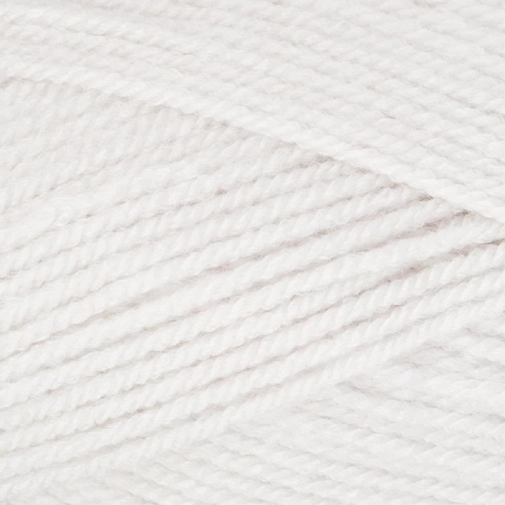 Stylecraft Special DK Knitting Wool Yarn 100g - 1807 A Hint of Silver - Image 2