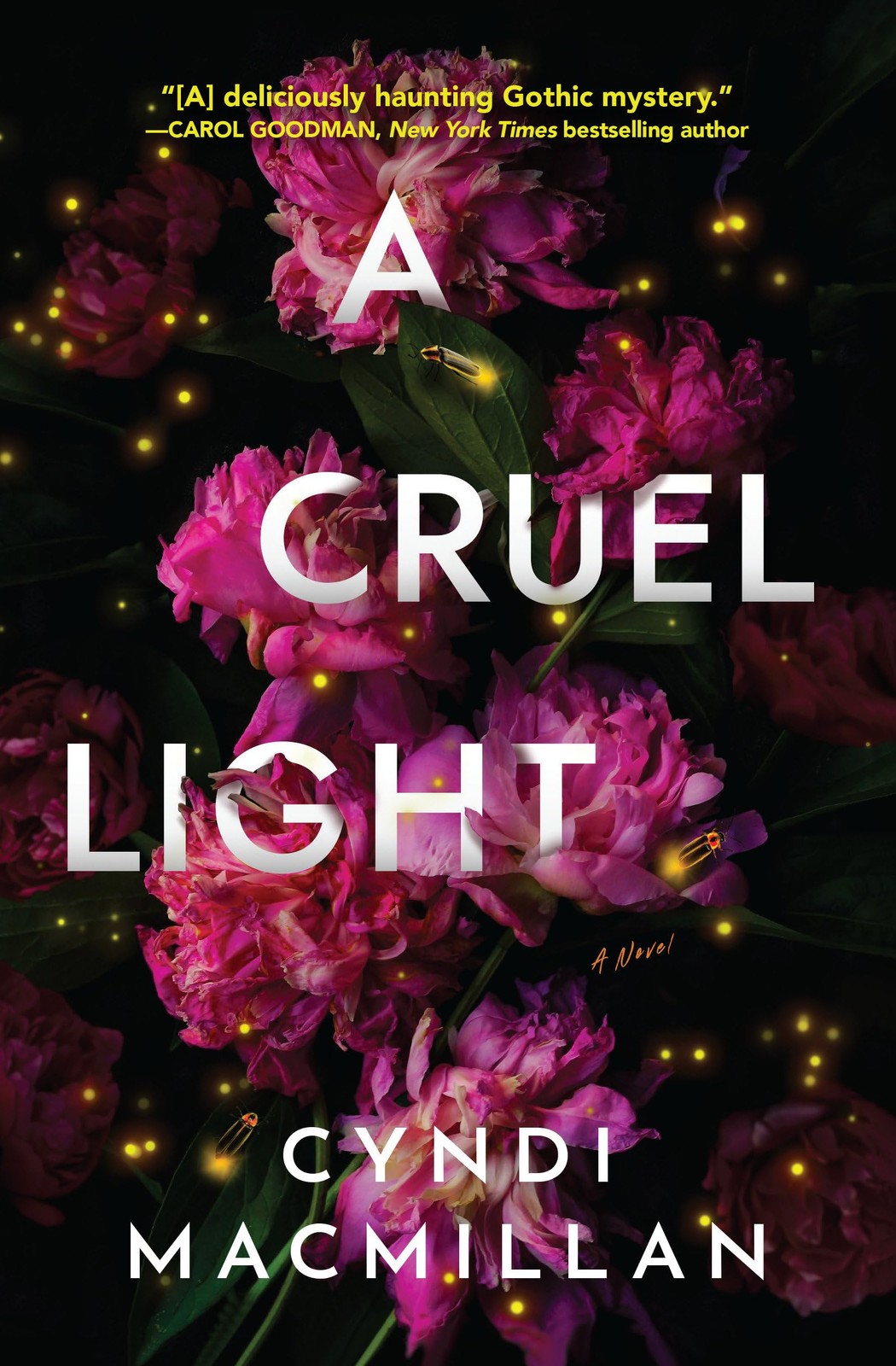 A Cruel Light: A Novel by Cyndi Macmillan HARDBACK 9781639103256 - Image 3