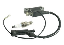 Ignition Coil & Spark Plug Fits Honda GX 160