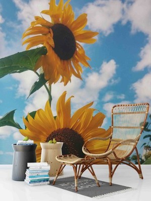 3D Sky Sunflower Close-up Wall Murals Wallpaper Murals Wall Sticker