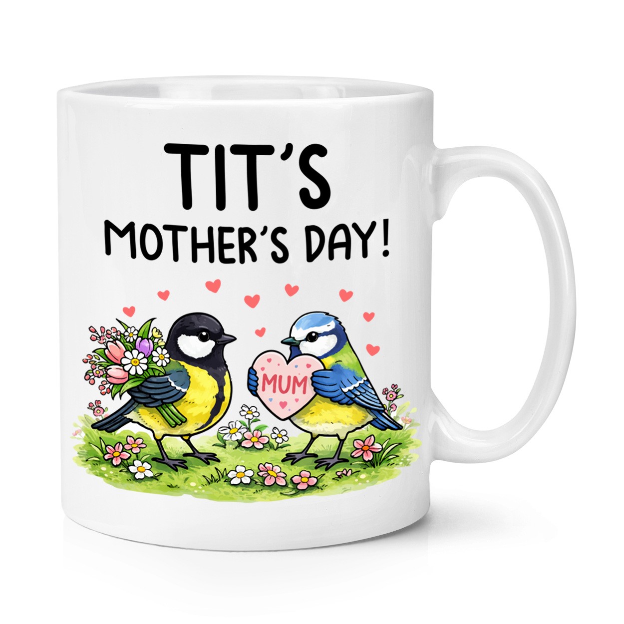 Tit 's Mother's Day Birds 10oz Mug Cup Valentines Birthday Rude Girlfriend