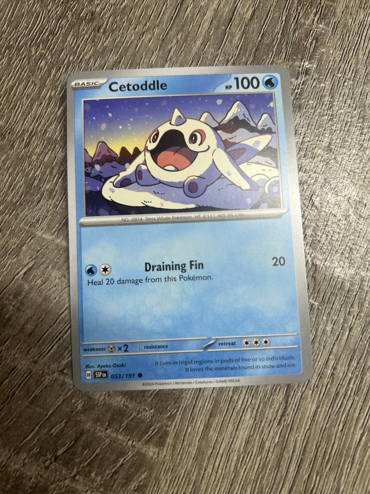 “Cetoddle” Pokemon Card