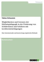 Tobias Schwamm | MöGlichkeiten Und Grenzen Der ErlebnispäDagogik In Der...