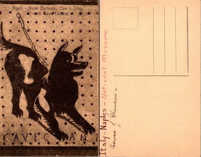 Naples Museo Nazionale Postcard Italy Cane a Catena Mosaic CAVE CANEM Unposted