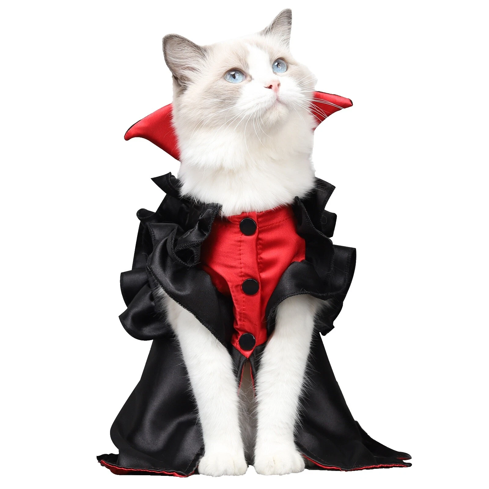 Trajes de gato negro de poliéster