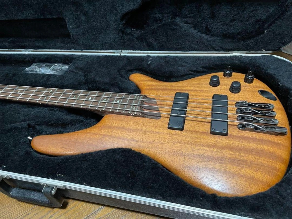 Ibanez sr3000e deals