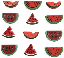 6 Pack - Buttons Galore Button Theme Pack-Watermelon Medley - BGTP-4341