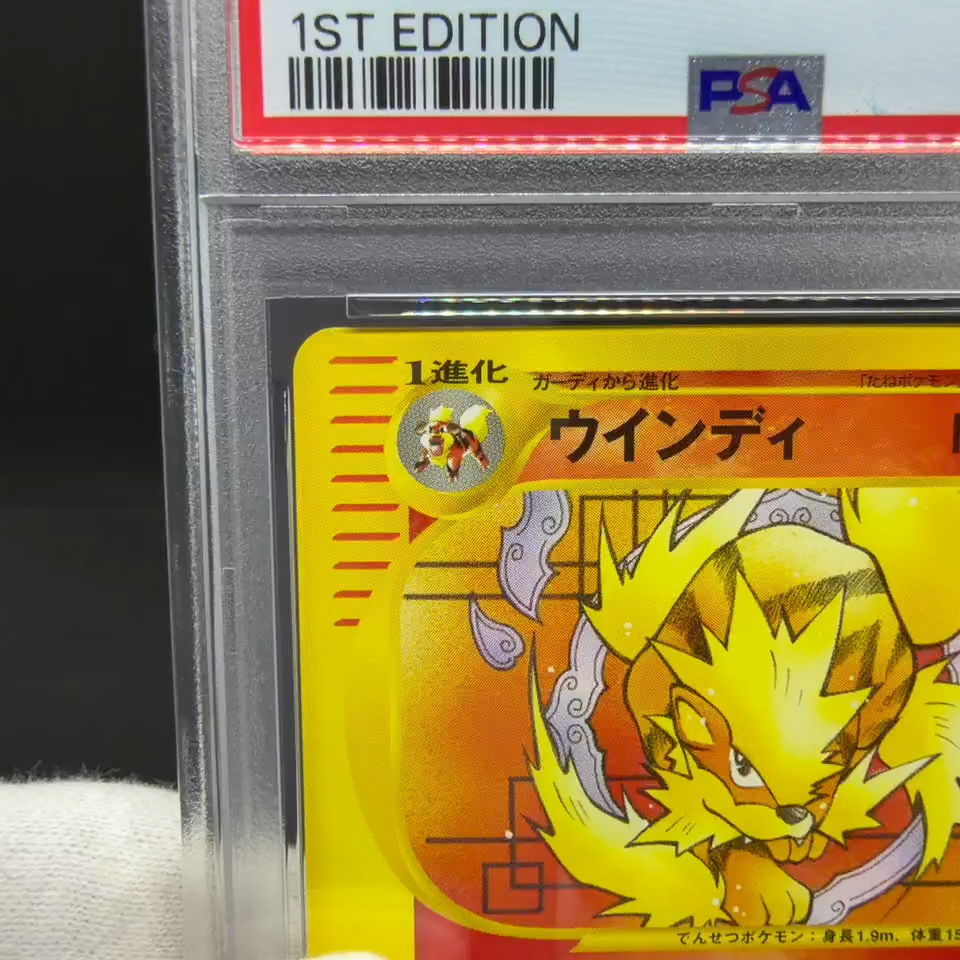 PSA9 Arcanine 023/048 Pokémon Web 1st Ed 2001 Japanese Pokemon