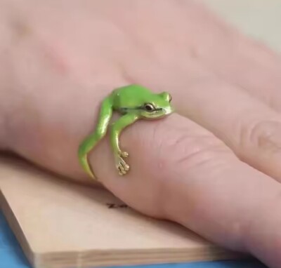 Tree Frog Ring Adjustable Open Animal Hugging Frog Ring Novelty Ring