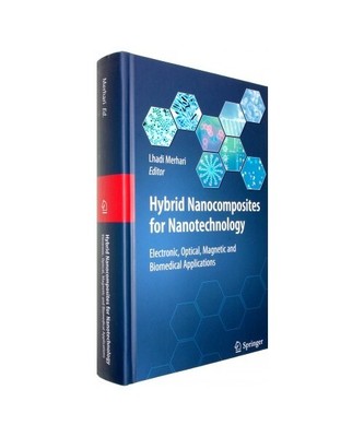 Hybrid Nanocomposites for Nanotechnology: Electronic, Optical, Magnetic and Biom