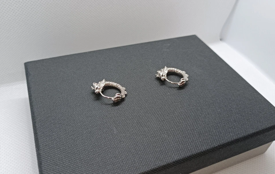 ORECCHINI UOMO DONNA UNISEX CERCHIO DRAGO RAME COLORE ARGENTO - Immagine 3 di 4