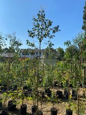 Air Pots Plant Air Pruning Container Pots Hydro